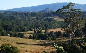 Grey Gum Lodge
